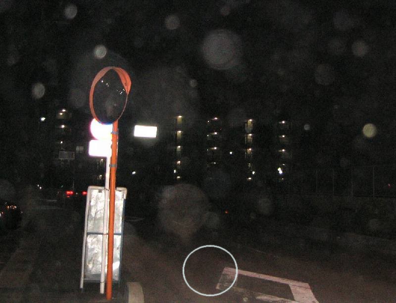 2008_01_02_17.jpg(53870 byte)